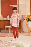 The Perfect Slim Fit Pants - Terracotta