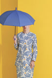 Women Yoke Blouse