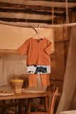 The Nest Babies Kurta - Brown