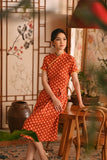 The Nian Nian Women Lace Sleeve Blossom Dress - Shine