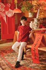 The Fei Yang Sleek Sleeve Oriental Shirt - Rumba Red