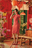 The Fei Yang Women Puff Sleeve Cheongsam Dress - Fusion