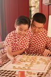 The Spring Dawn Mandarin Shirt - Checkerboard