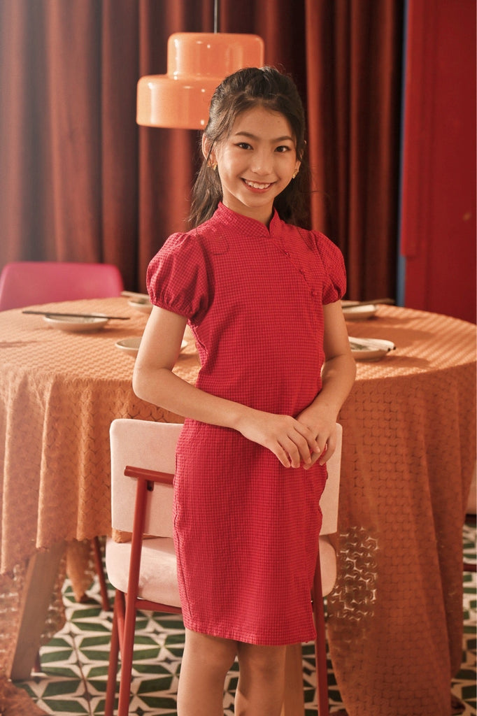 The Spring Dawn Puff Sleeve Cheongsam Dress Red Checked –